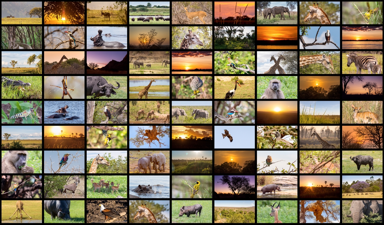 BANDO PER IL SOSTEGNO ALLA PRODUZIONE DI OPERE CINEMATOGRAFICHE E AUDIOVISIVE DESTINATO AD IMPRESE CON SEDE IN EMILIA-ROMAGNA - ANNO 2020