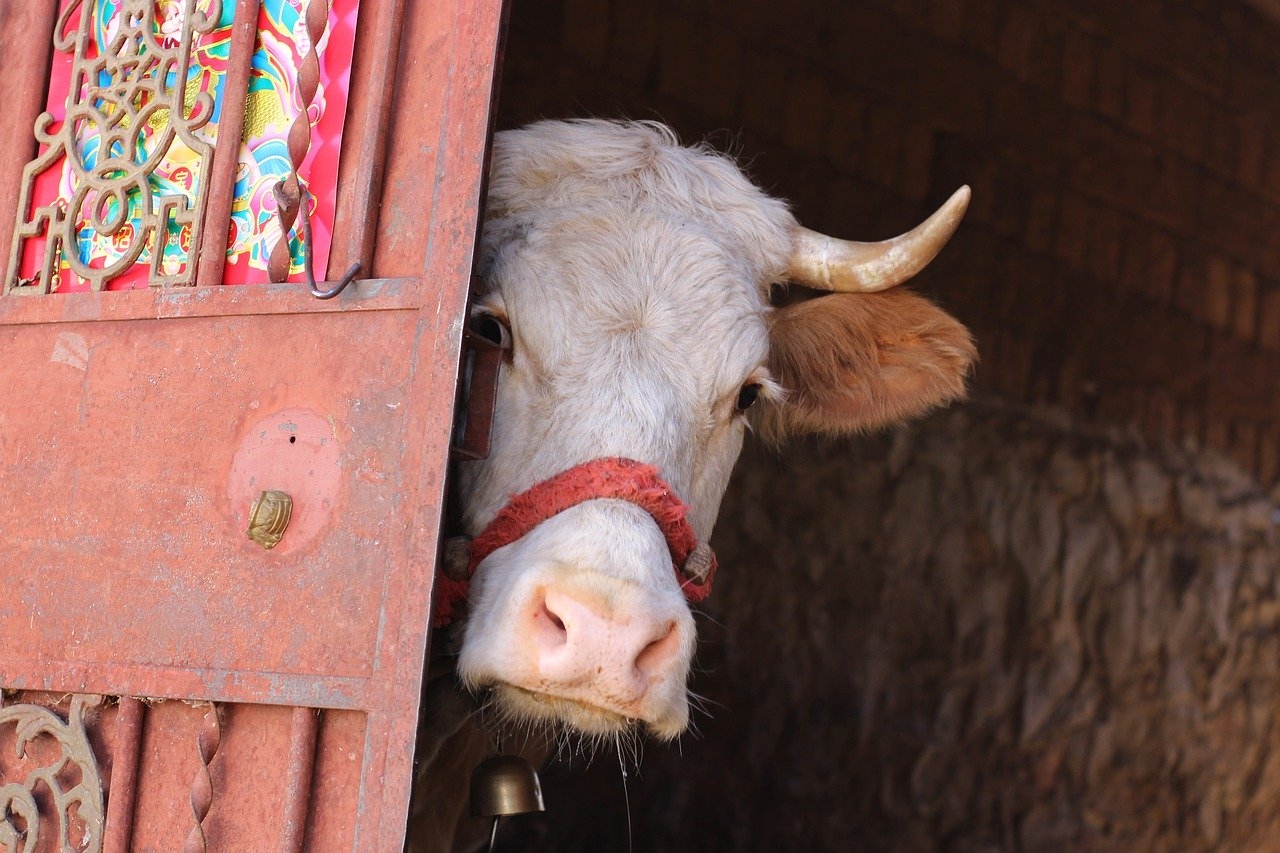 PSR 2014/2020 - MISURA 6.4.01