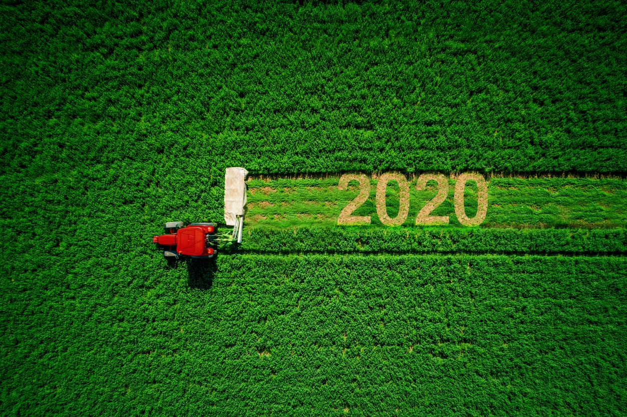 BANDO ISI AGRICOLTURA 2019-2020 